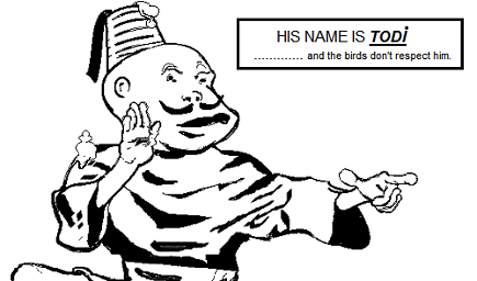 And the birds don't respect him.